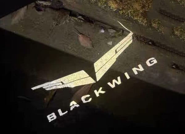 Cadillac Black Wing Door Lights