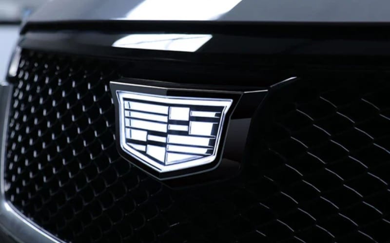 LED Light Up Emblem Care